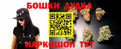 мдпв Дубна